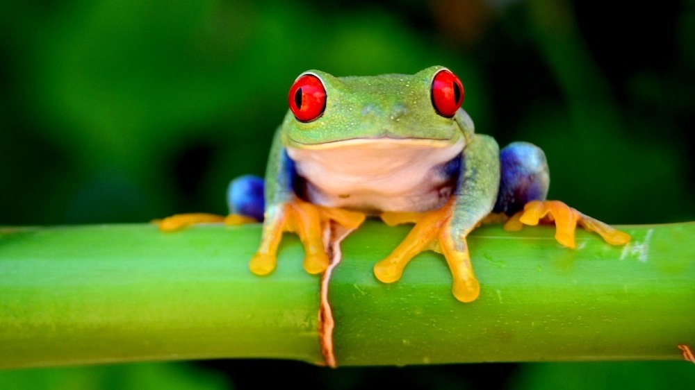 din iso 9001 zertifizierung - facility