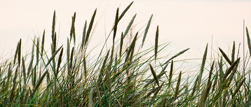 ISO 9001 Branchenlösungen für Mittelstand und Kleinunternehmen